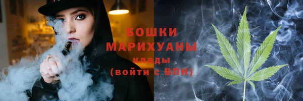 PSILOCYBIN Костерёво