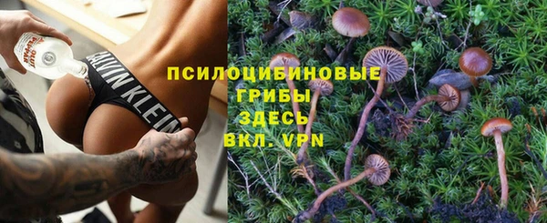 прущие крисы Козельск