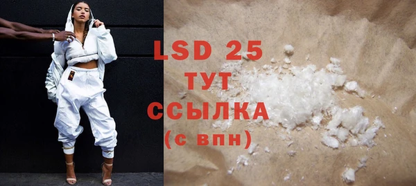 PSILOCYBIN Костерёво