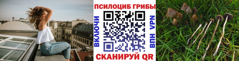купить наркотик  Никольск  Галлюциногенные грибы ЛСД 